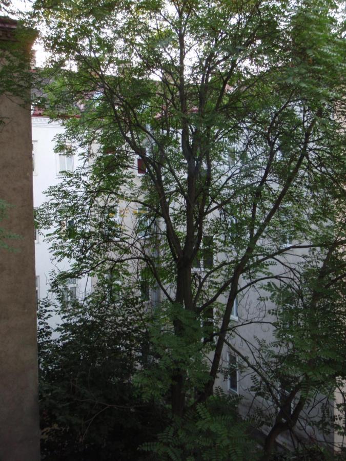 Augartenblick Penthaus 16 Apartment Виена Екстериор снимка